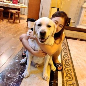 Meet your Posher, Zixin